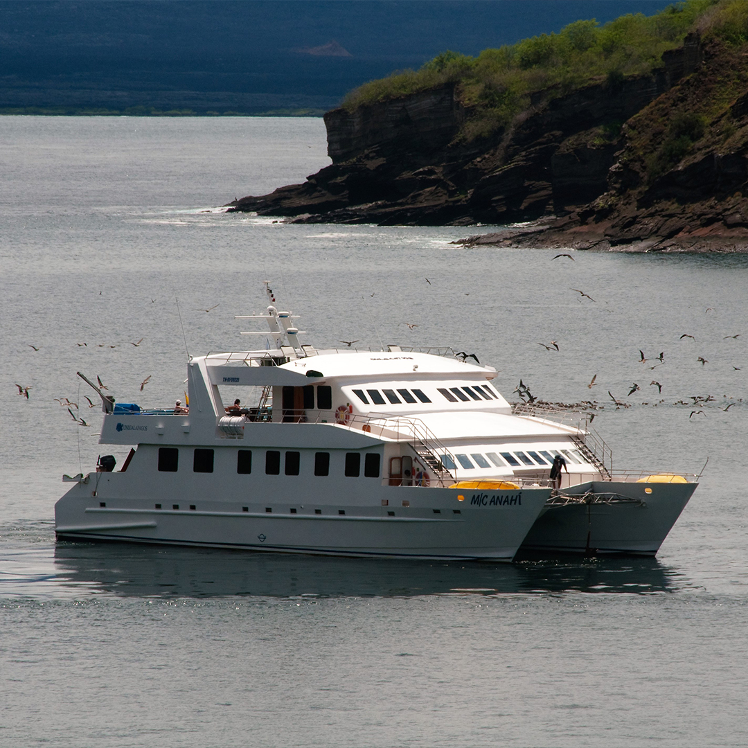 <br />
<b>Warning</b>:  Undefined variable $vessel_title in <b>/home/vayaques/vaya.ink/wp-content/themes/vaya-3.0-child/page-destination-charters.php</b> on line <b>92</b><br />
