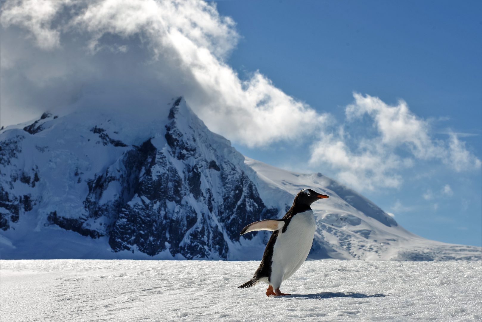 Chilean Patagonia and Antarctica : Fly the Drake