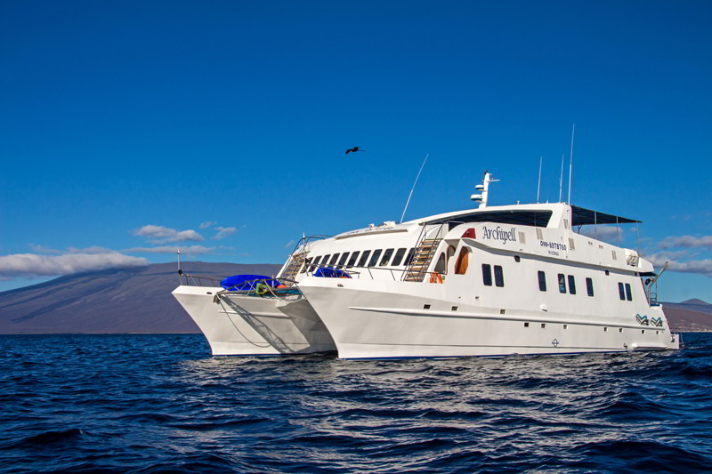 <br />
<b>Warning</b>:  Undefined variable $vessel_title in <b>/home/vayaques/vaya.ink/wp-content/themes/vaya-3.0-child/page-destination-cruises-v2.php</b> on line <b>100</b><br />
