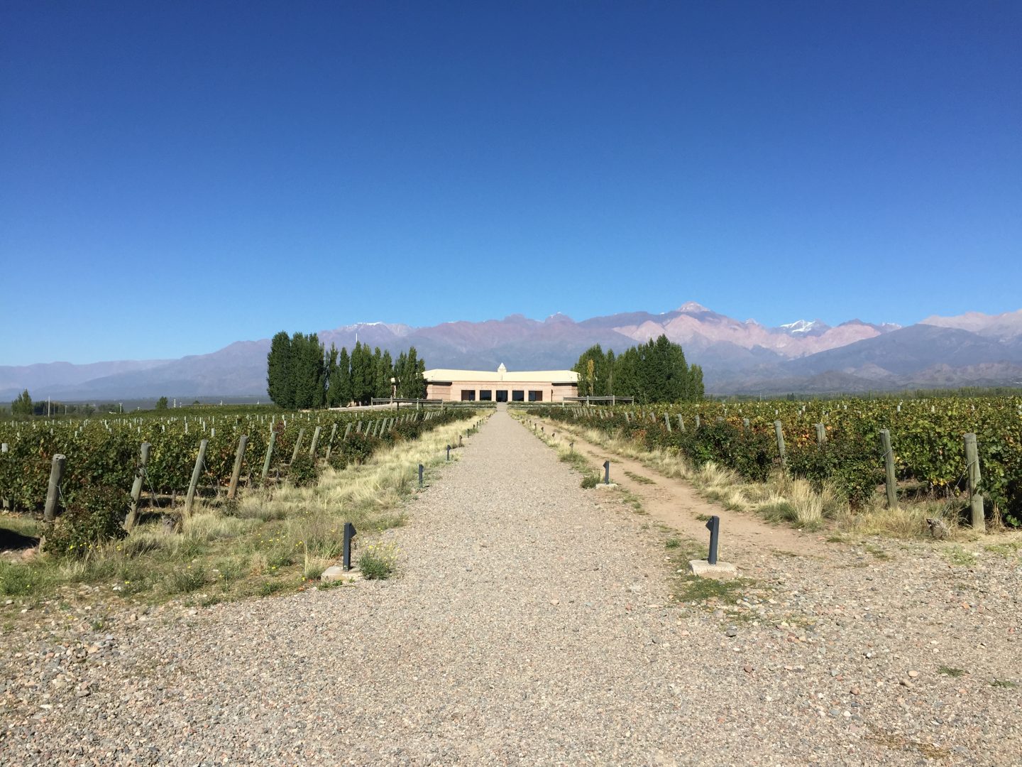 <br />
<b>Warning</b>:  Undefined variable $itinerary_title in <b>/home/vayaques/vaya.ink/wp-content/themes/vaya-3.0-child/page-accommodation.php</b> on line <b>129</b><br />
