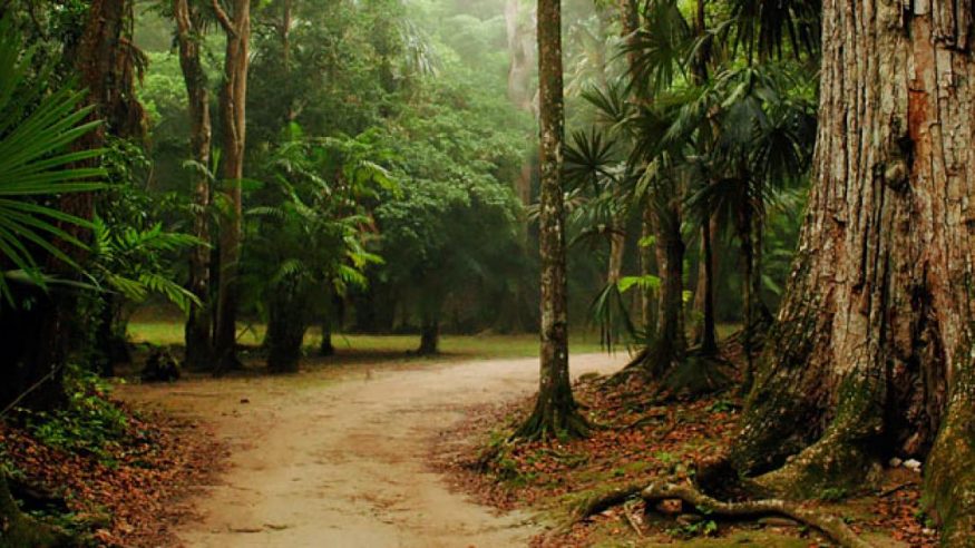 Chaa Creek - Nature Preserve