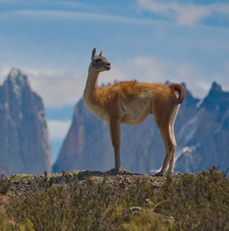 Environmentally & culturally respectful travel