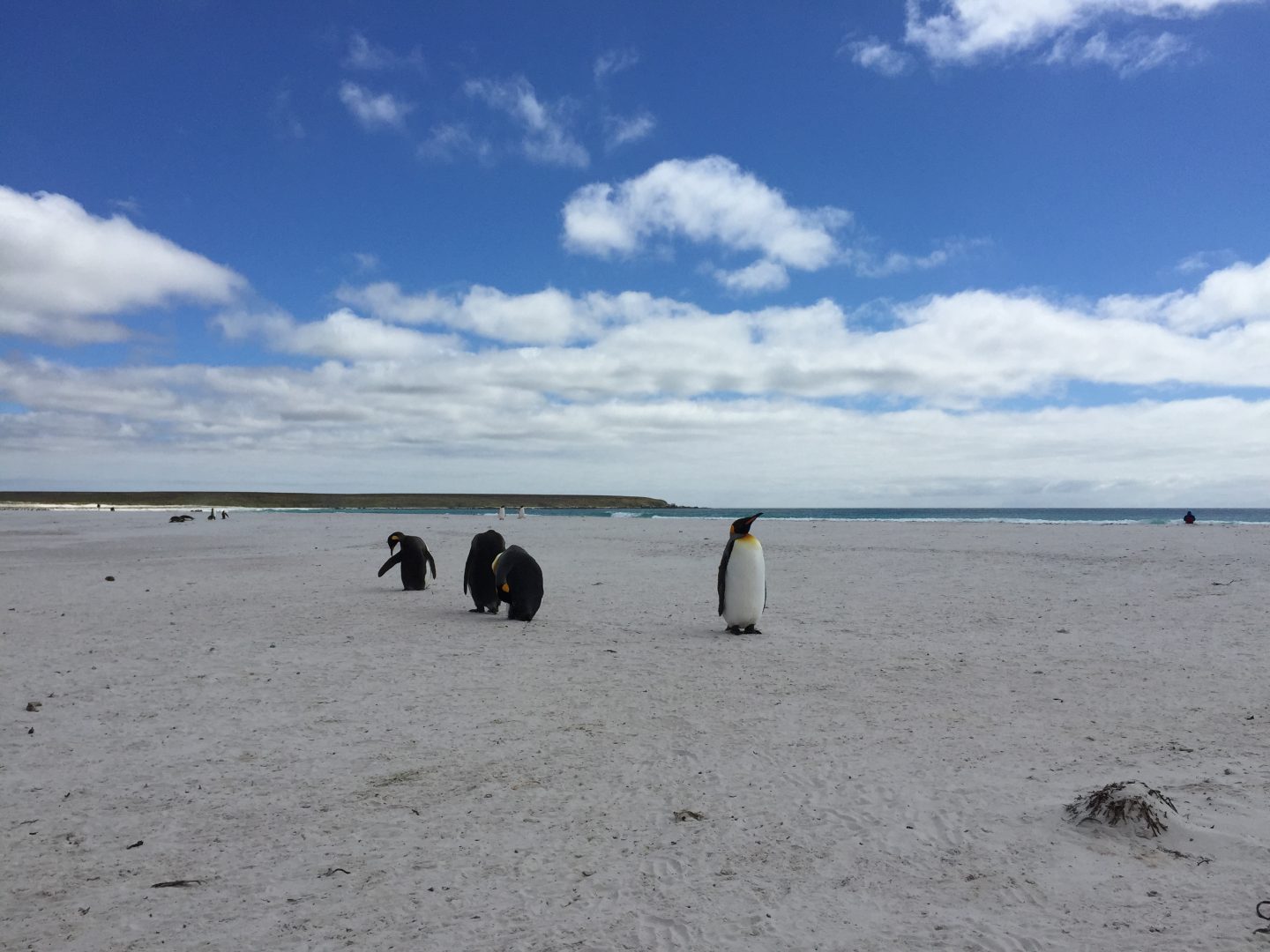 <br />
<b>Warning</b>:  Undefined variable $itinerary_title in <b>/home/vayaques/vaya.ink/wp-content/themes/vaya-3.0-child/page-accommodation.php</b> on line <b>129</b><br />
