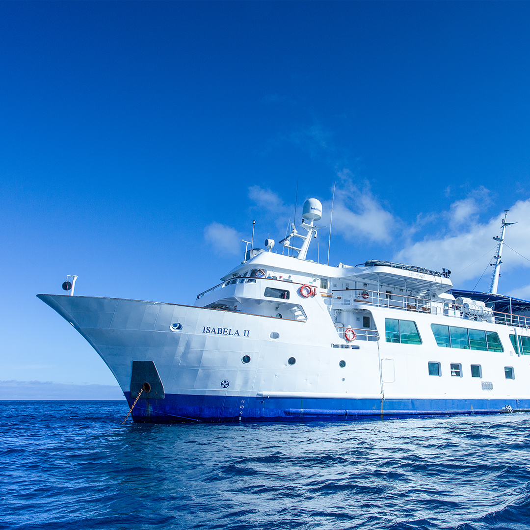 <br />
<b>Warning</b>:  Undefined variable $vessel_title in <b>/home/vayaques/vaya.ink/wp-content/themes/vaya-3.0-child/page-destination-cruises-v2.php</b> on line <b>100</b><br />
