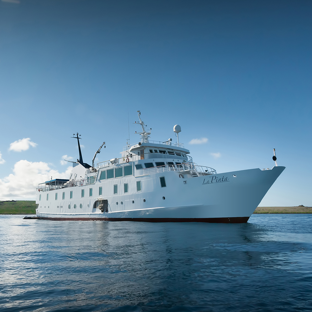 <br />
<b>Warning</b>:  Undefined variable $vessel_title in <b>/home/vayaques/vaya.ink/wp-content/themes/vaya-3.0-child/page-destination-charters.php</b> on line <b>92</b><br />
