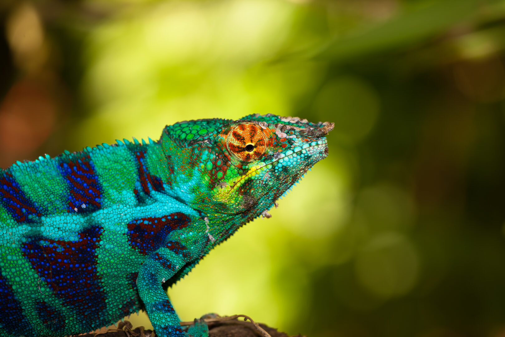 <br />
<b>Warning</b>:  Undefined variable $itinerary_title in <b>/home/vayaques/vaya.ink/wp-content/themes/vaya-3.0-child/page-accommodation.php</b> on line <b>129</b><br />
