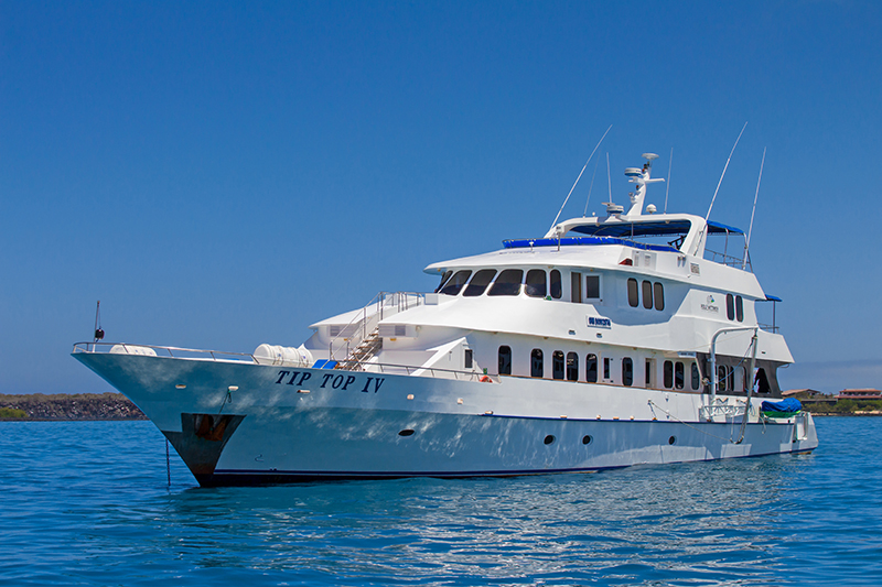 <br />
<b>Warning</b>:  Undefined variable $vessel_title in <b>/home/vayaques/vaya.ink/wp-content/themes/vaya-3.0-child/page-destination-charters.php</b> on line <b>92</b><br />
