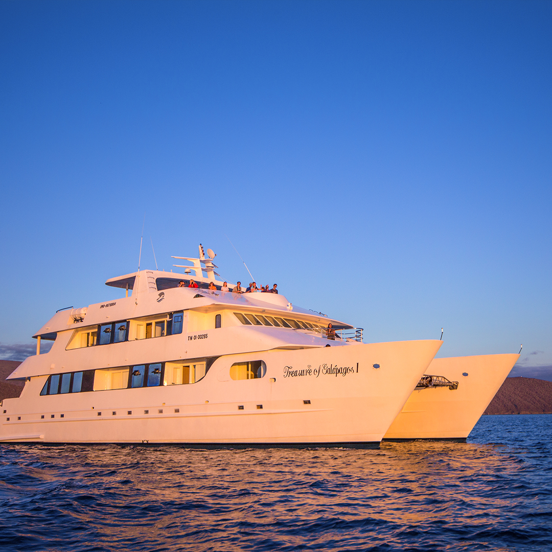 <br />
<b>Warning</b>:  Undefined variable $vessel_title in <b>/home/vayaques/vaya.ink/wp-content/themes/vaya-3.0-child/page-destination-charters.php</b> on line <b>92</b><br />
