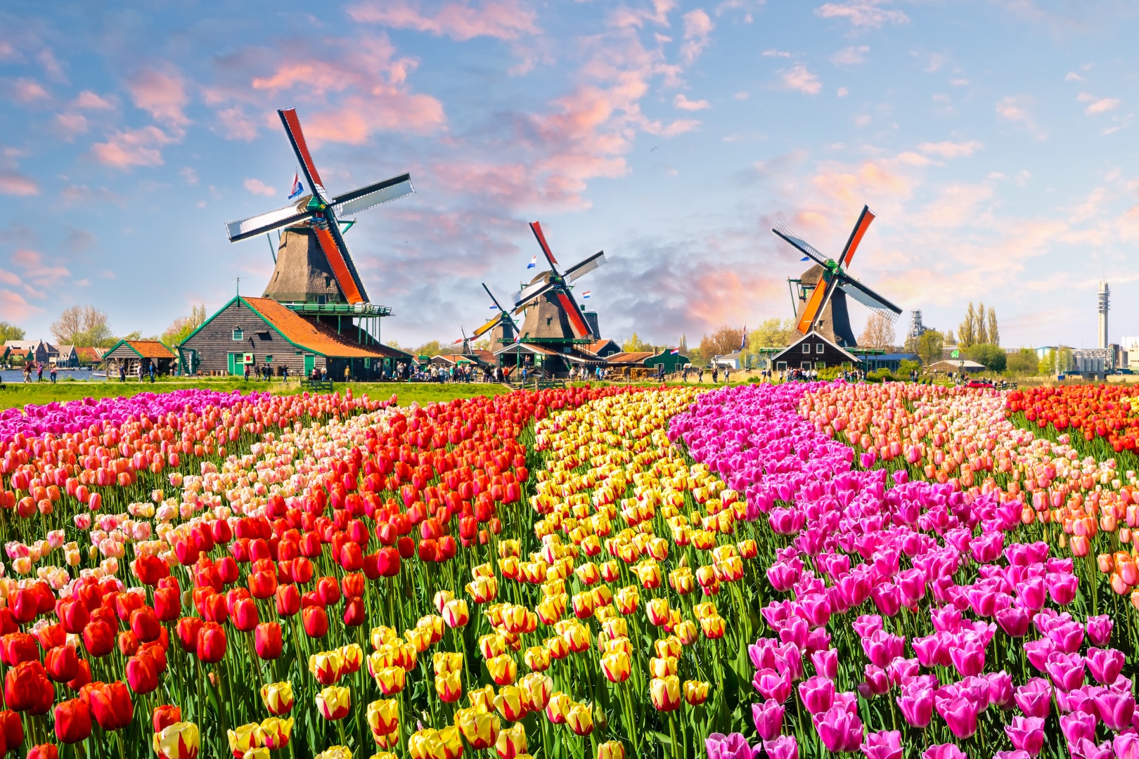 <br />
<b>Warning</b>:  Undefined variable $itinerary_title in <b>/home/vayaques/vaya.ink/wp-content/themes/vaya-3.0-child/page-accommodation.php</b> on line <b>129</b><br />
