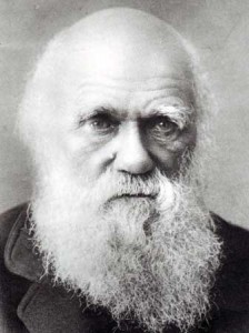 darwin old