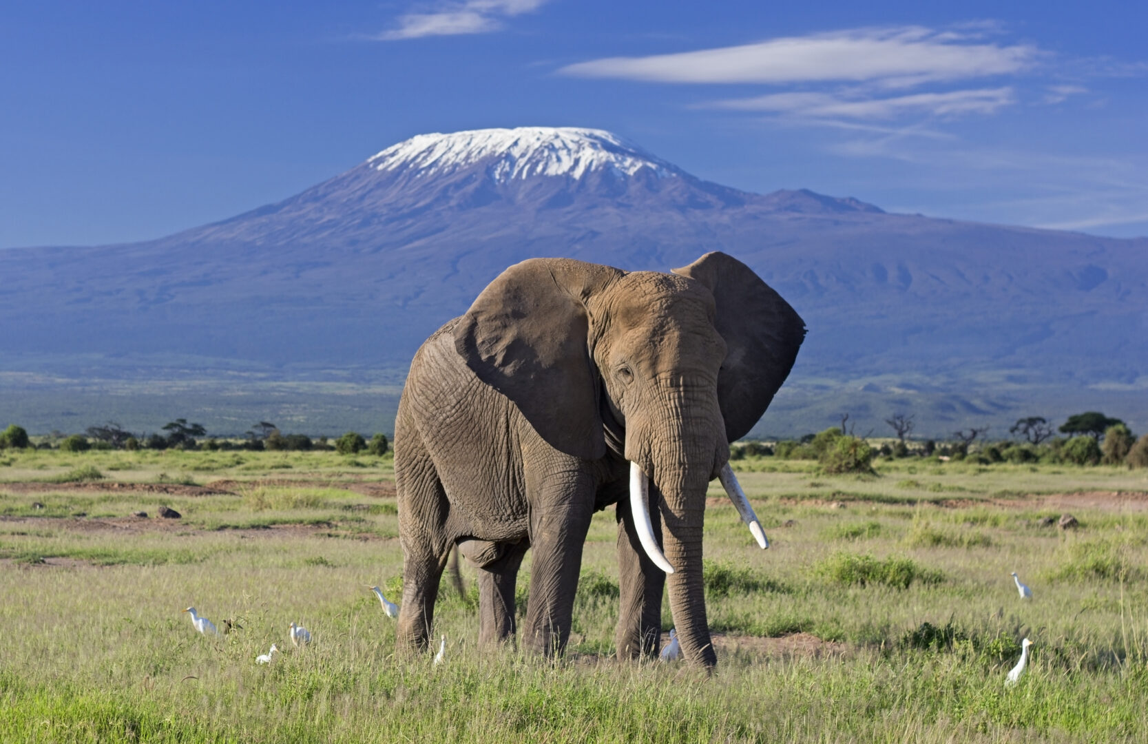 <br />
<b>Warning</b>:  Undefined variable $itinerary_title in <b>/home/vayaques/vaya.ink/wp-content/themes/vaya-3.0-child/page-accommodation.php</b> on line <b>129</b><br />
