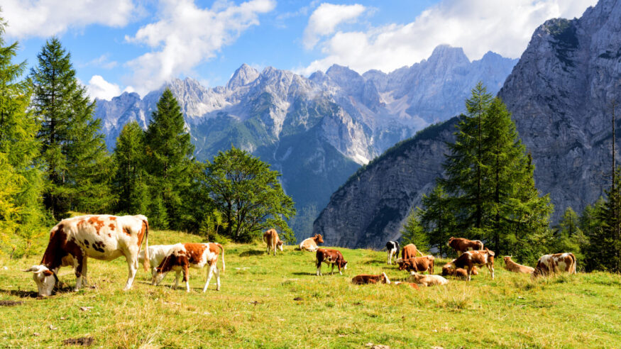 Slovenian Pass, located across the Julian Alps in northwestern Slovenia