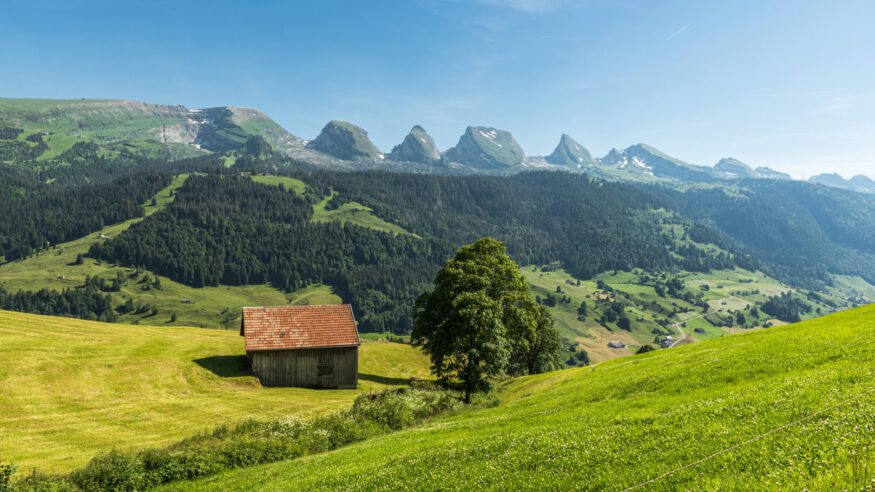 Landscape in Toggenburg in summer with green meadows and a wooden hut, view to the Churfirsten mountain range.