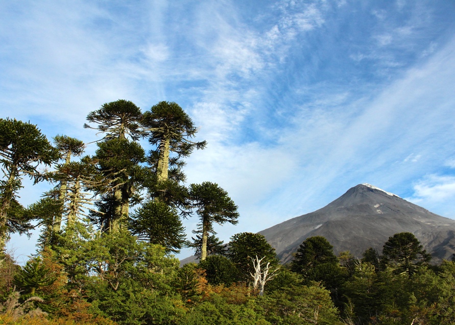 Lanín Volcano as seen from Lake Huinfiuca on the Chilean side