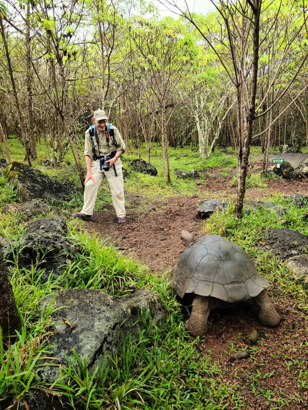 A single man with a large camera around his neck stands face-to-face with a Giant Galapagos Tortoise